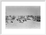 View of Wilfred Thesiger's travelling ...