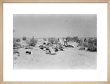 View of Wilfred Thesiger's travelling ...