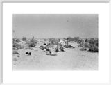 View of Wilfred Thesiger's travelling ...