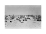 View of Wilfred Thesiger's travelling ...