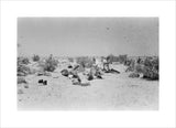 View of Wilfred Thesiger's travelling ...