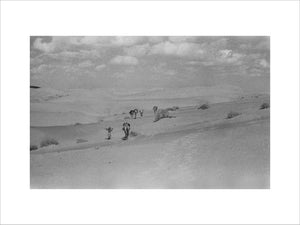 View of Wilfred Thesiger's party ...
