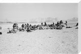 View of Wilfred Thesiger's Bedouin ...