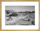Landscape of small shrubs and ...