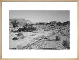 Landscape of small shrubs and ...