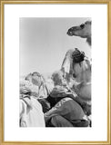 View of Wilfred Thesiger's travelling ...