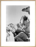View of Wilfred Thesiger's travelling ...