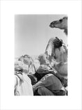 View of Wilfred Thesiger's travelling ...