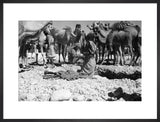 Portrait of Mahra Bedouin watering ...