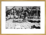 Portrait of Mahra Bedouin watering ...