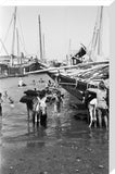 View of water sellers unloading ...