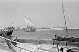 View of beached dhows (sailboats) ...