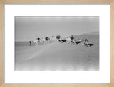 View of Wilfred Thesiger's travelling ...