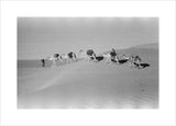 View of Wilfred Thesiger's travelling ...