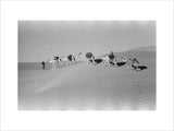 View of Wilfred Thesiger's travelling ...