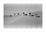 View of Wilfred Thesiger's travelling ...