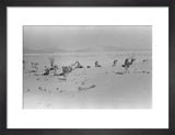 View of Wilfred Thesiger's travelling ...