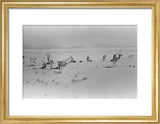 View of Wilfred Thesiger's travelling ...
