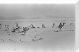 View of Wilfred Thesiger's travelling ...