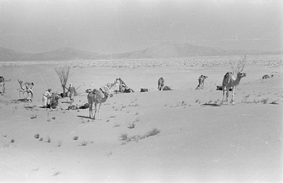 View of Wilfred Thesiger's travelling ...