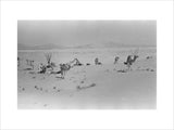 View of Wilfred Thesiger's travelling ...
