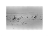 View of Wilfred Thesiger's travelling ...