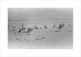 View of Wilfred Thesiger's travelling ...