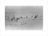 View of Wilfred Thesiger's travelling ...