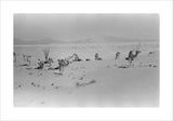 View of Wilfred Thesiger's travelling ...
