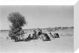 View of Wilfred Thesiger's travelling ...
