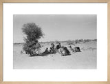 View of Wilfred Thesiger's travelling ...