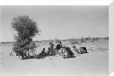 View of Wilfred Thesiger's travelling ...