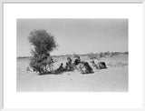 View of Wilfred Thesiger's travelling ...