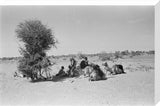 View of Wilfred Thesiger's travelling ...
