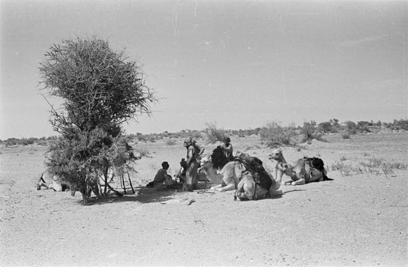 View of Wilfred Thesiger's travelling ...