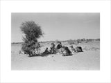View of Wilfred Thesiger's travelling ...