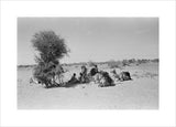 View of Wilfred Thesiger's travelling ...
