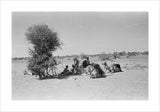 View of Wilfred Thesiger's travelling ...