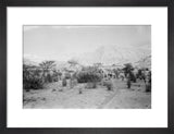 View of Wilfred Thesiger's travelling ...