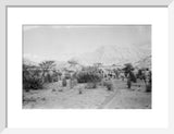 View of Wilfred Thesiger's travelling ...