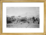 View of Wilfred Thesiger's travelling ...