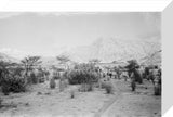 View of Wilfred Thesiger's travelling ...