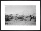 View of Wilfred Thesiger's travelling ...