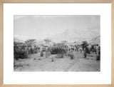 View of Wilfred Thesiger's travelling ...