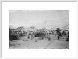 View of Wilfred Thesiger's travelling ...
