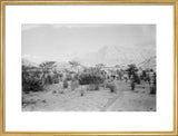 View of Wilfred Thesiger's travelling ...