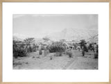 View of Wilfred Thesiger's travelling ...
