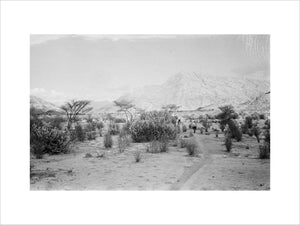 View of Wilfred Thesiger's travelling ...