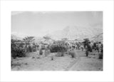 View of Wilfred Thesiger's travelling ...