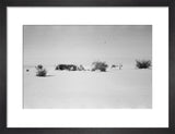 View of Wilfred Thesiger's travelling ...